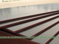 Фанера ламинированная 1250х2500 мм